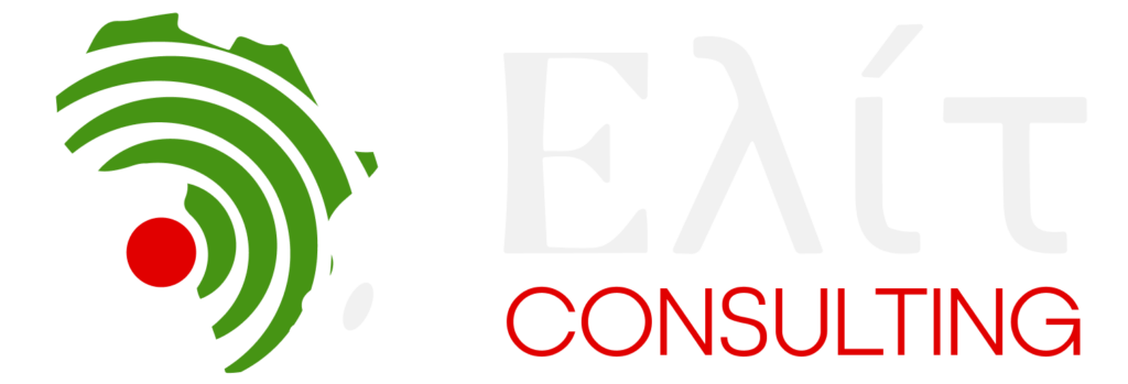 Logo elit consulting